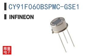 CY91F060BSPMC-GSE1