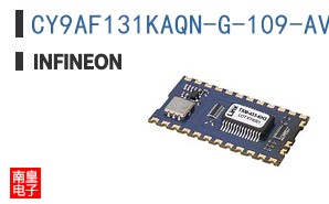 CY9AF131KAQN-G-109-AVE2