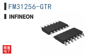 FM31256-GTR