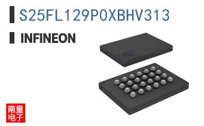 S25FL129P0XBHV313